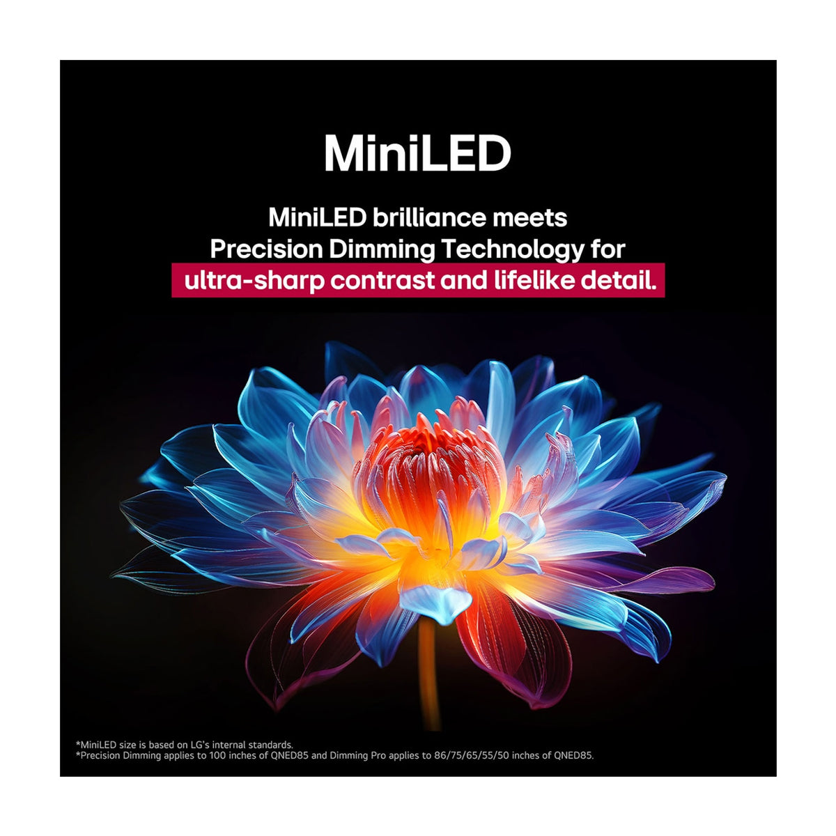 LG 100QNED86 Televisor QNED Evo Ultra HD 4K HDR10 Smart de 100" | Procesador a8 AI Gen2 | Dynamic QNED Color | AMD FreeSync Premium | Precision Dimming