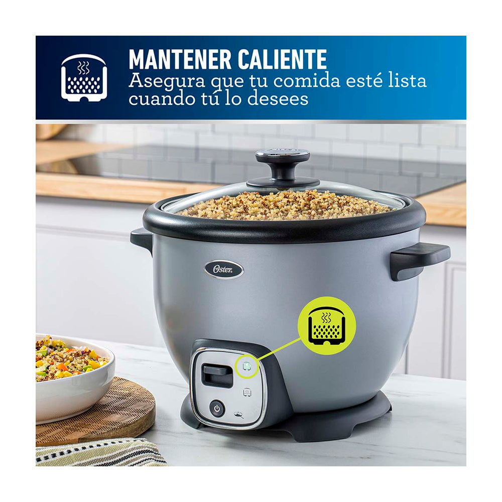 Oster CKSTRC8029S Olla Arrocera de 1.8L | Interior Antiadherente Extraíble | Gris