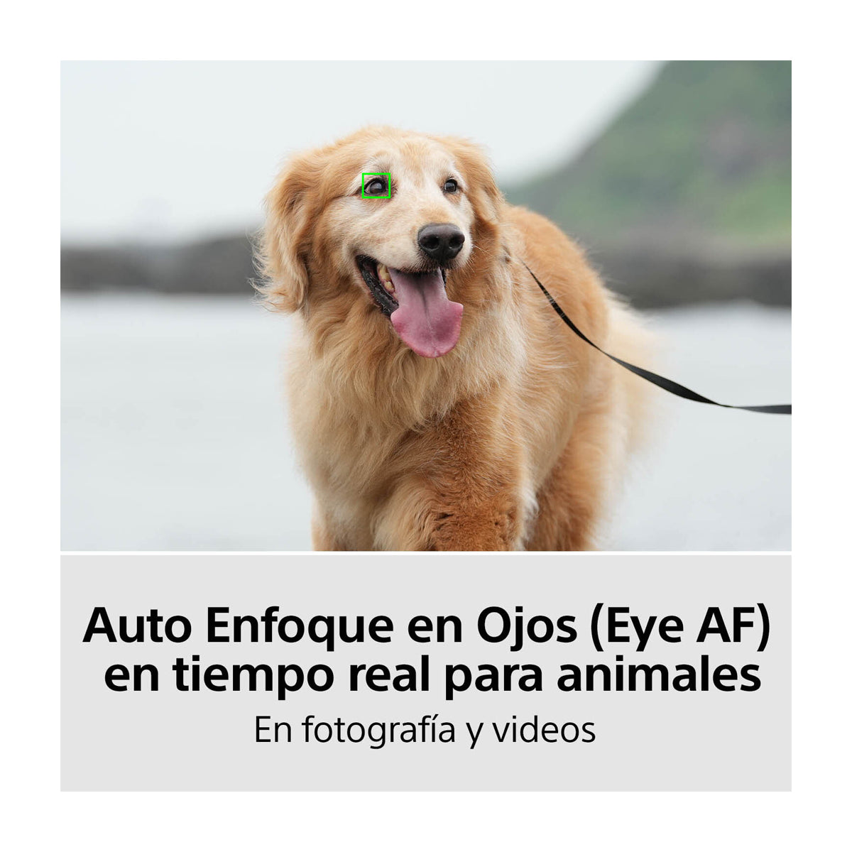 Sony a7 IV Alpha Cámara Digital Mirrorless con Lente 28-70mm OSS | ILCE-7M4K | Full Frame