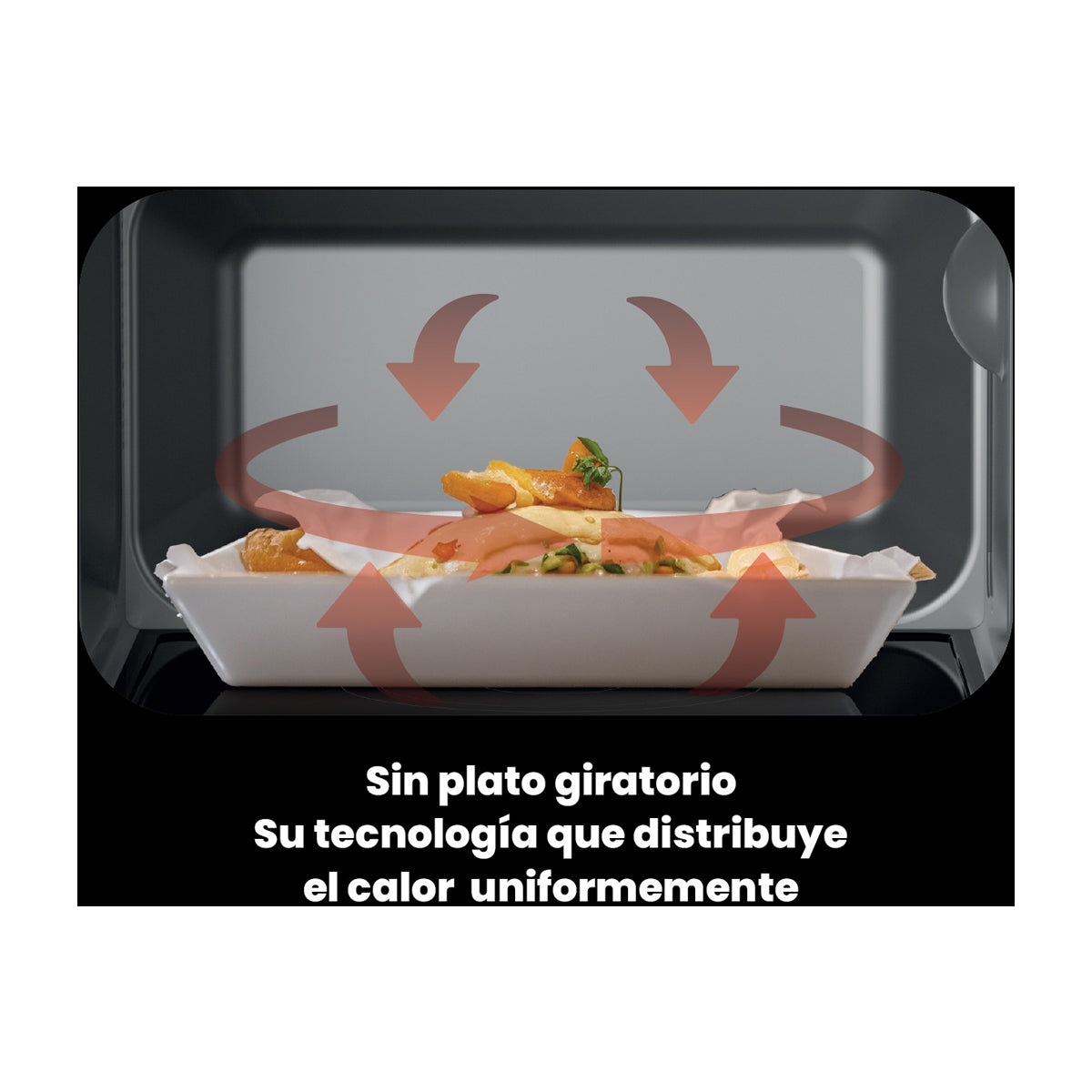 Sankey Microondas de 800W | Cavidad Plana | 0.7p3 | Negro