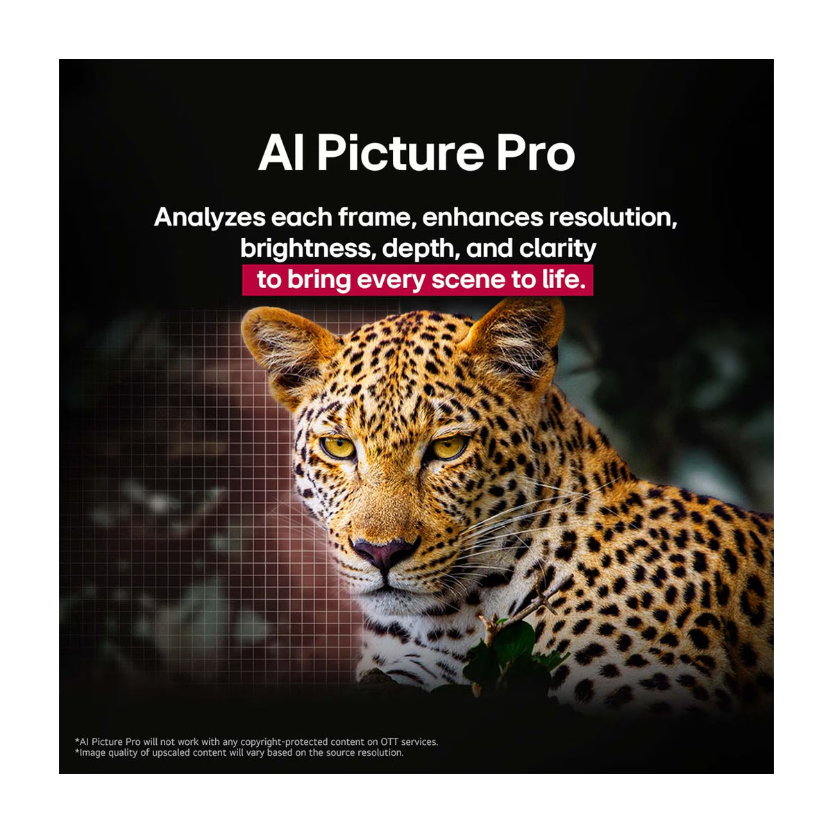 LG OLED83C5 Televisor OLED Evo Ultra HD 4K Cinema HDR Smart de 83" | Procesador a9 Gen 8 AI | Brightness Booster | AI Sound Pro | Dolby Vision Atmos