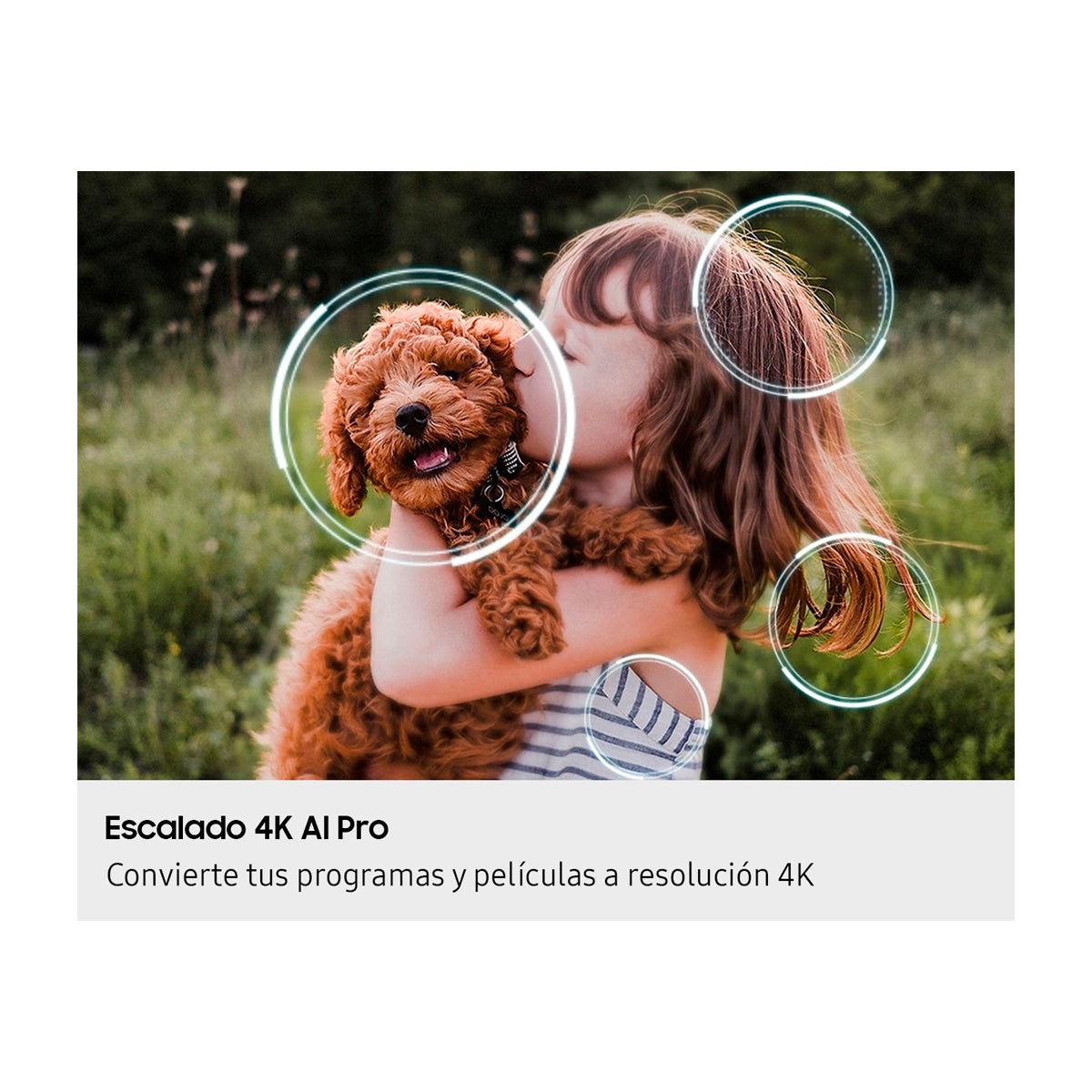 Samsung QN65QN90F Televisor Neo QLED Ultra HD 4K Neo Quantum HDR+ Smart de 65" | Procesador NQ4 AI Gen3 | Quantum Matrix Plus | NeoSlim | 4K AI Upscaling Pro | Motion Xcelerator 165Hz | Q-Symphony