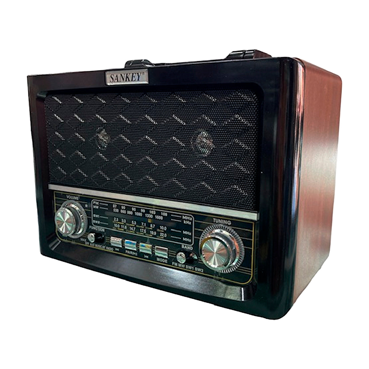 Sankey Radio Portátil | Sintonización FM | Asa Portable | Bluetooth | Negro