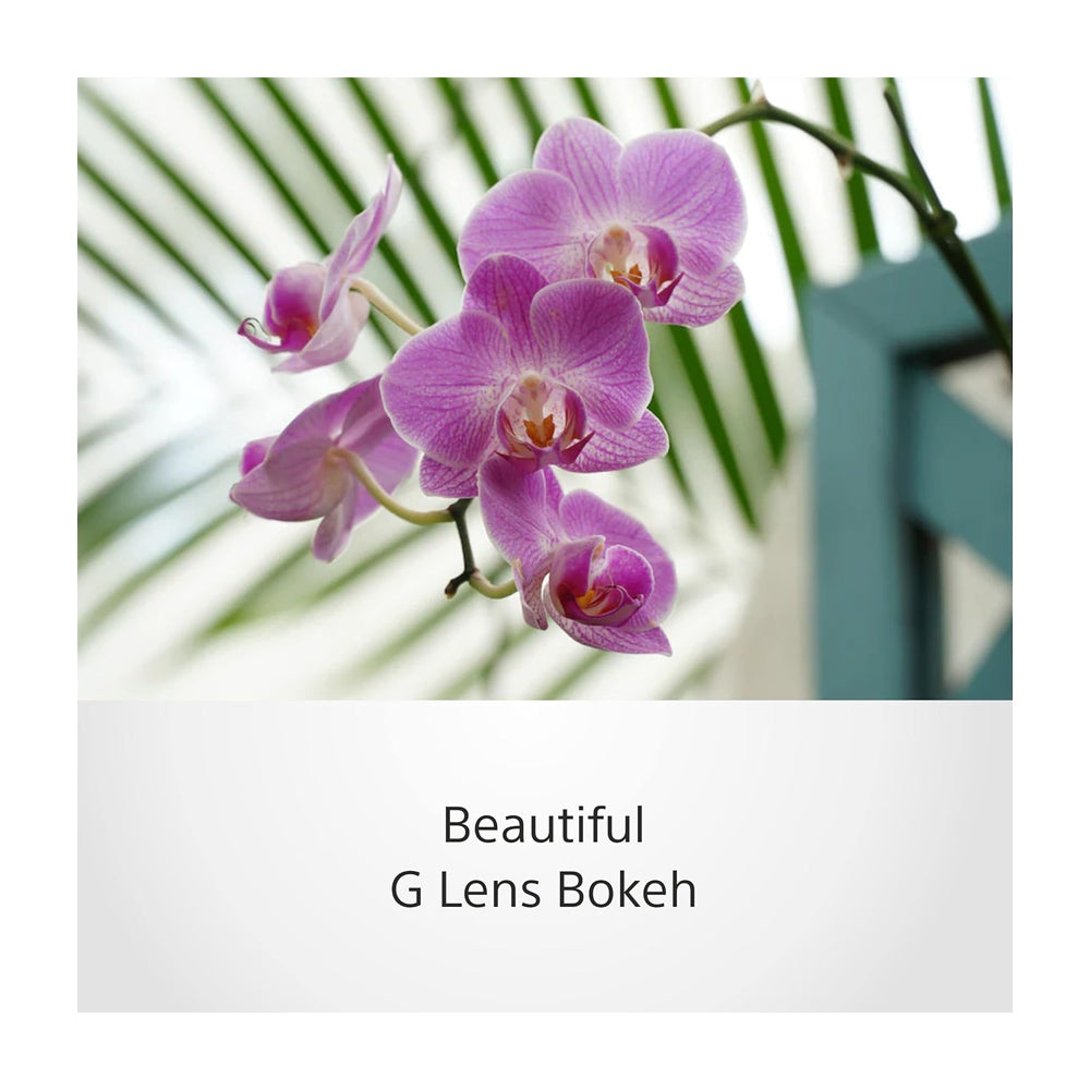 Sony Lente E PZ 18-105mm f/4 G OSS