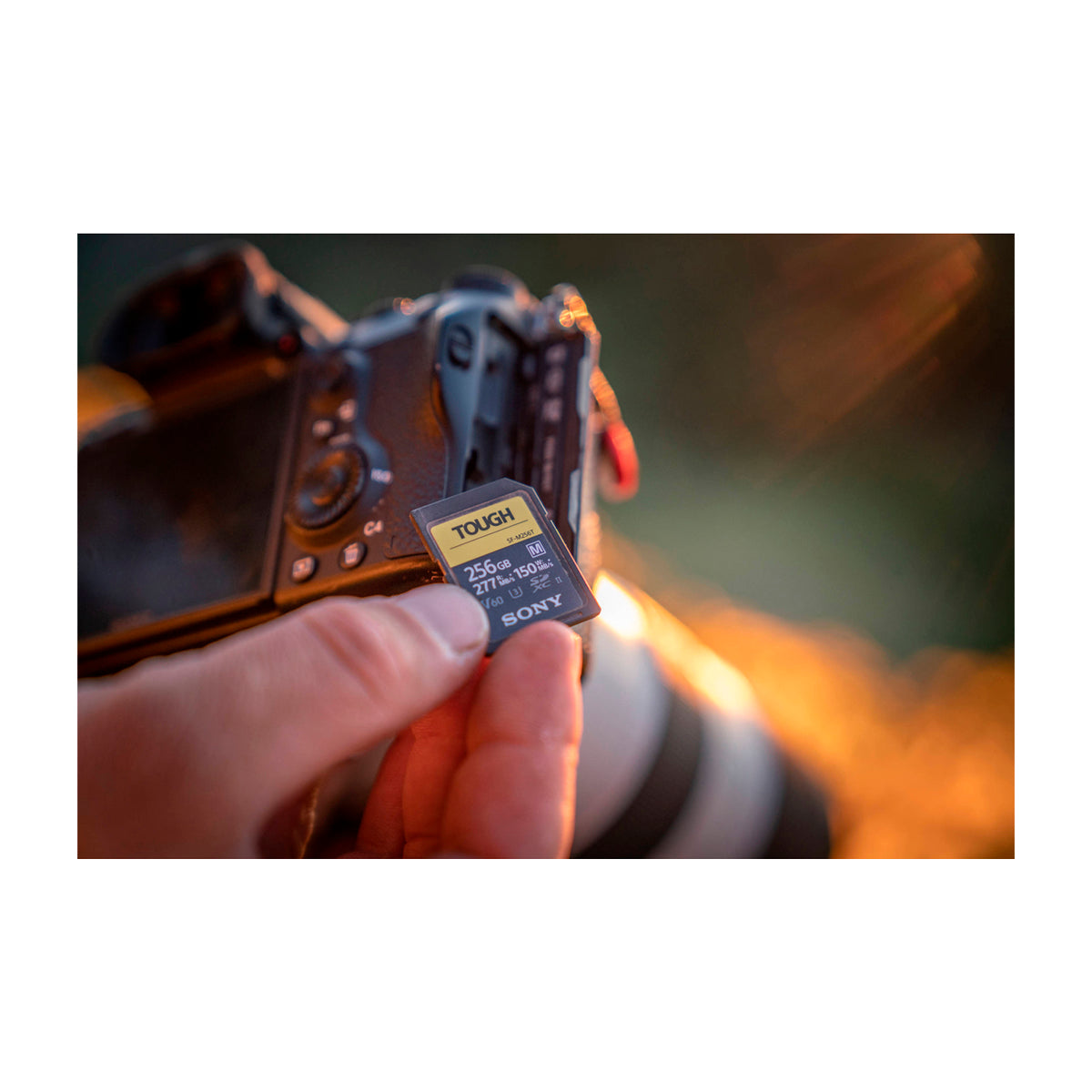 Sony TOUGH SF-M Memoria SDXC de 256GB | UHS-II | V60 | U3 | Clase 10 | 277Mb/s