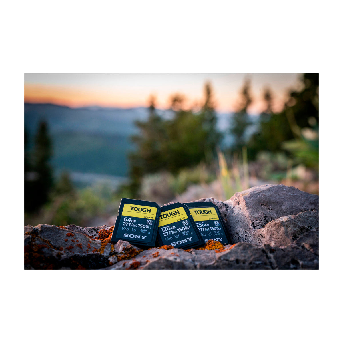 Sony TOUGH SF-M Memoria SDXC de 64GB | UHS-II | V60 | U3 | Clase 10 | 277Mb/s