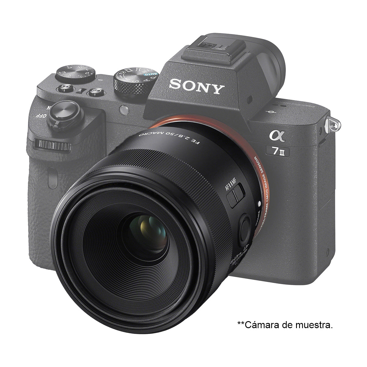 Sony Lente FE 50mm f/2.8 Macro
