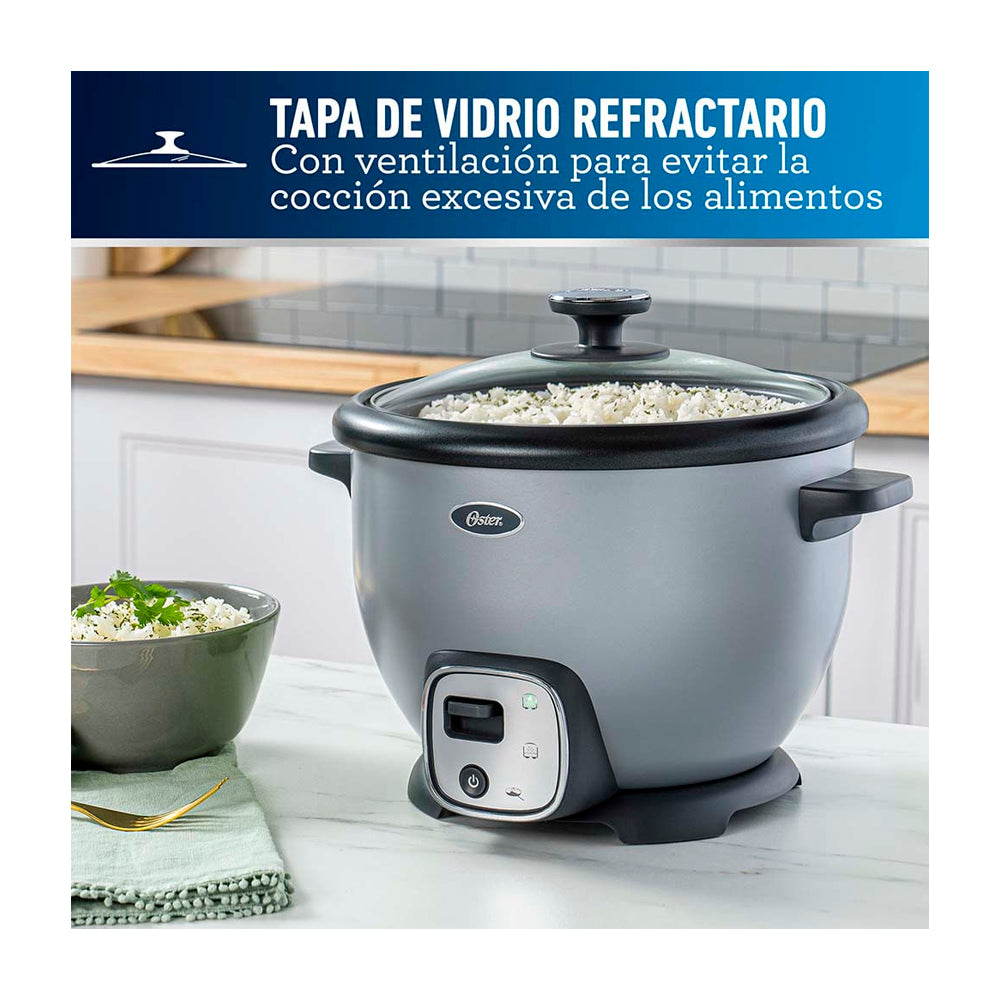 Oster CKSTRC8029S Olla Arrocera de 1.8L | Interior Antiadherente Extraíble | Gris