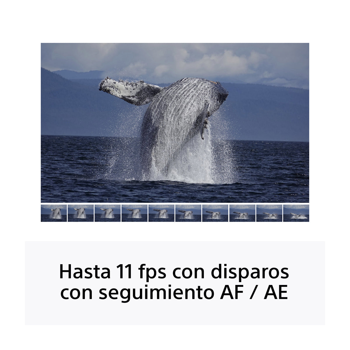 Sony a6400 Alpha Cámara Digital Mirrorless con Lente 18-135mm OSS | ILCE-6400M