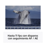 Sony a6400 Alpha Cámara Digital Mirrorless con Lente 18-135mm OSS | ILCE-6400M