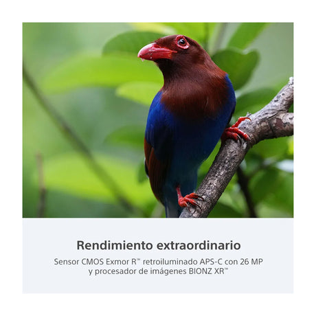 Sony a6700 Alpha Cámara Digital Mirrorless con Lente 18-135mm OSS | ILCE-6700M