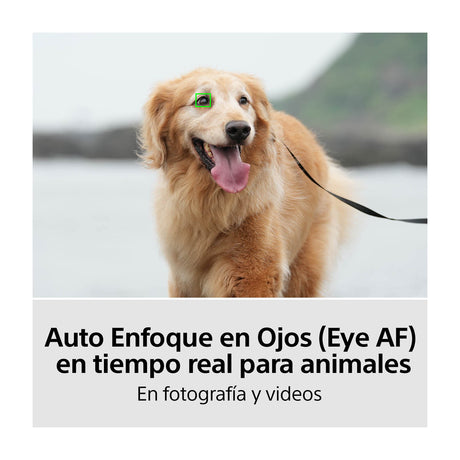 Sony a7 IV Alpha Cámara Digital Mirrorless con Lente 28-70mm OSS II | ILCE-7M4M | Full Frame