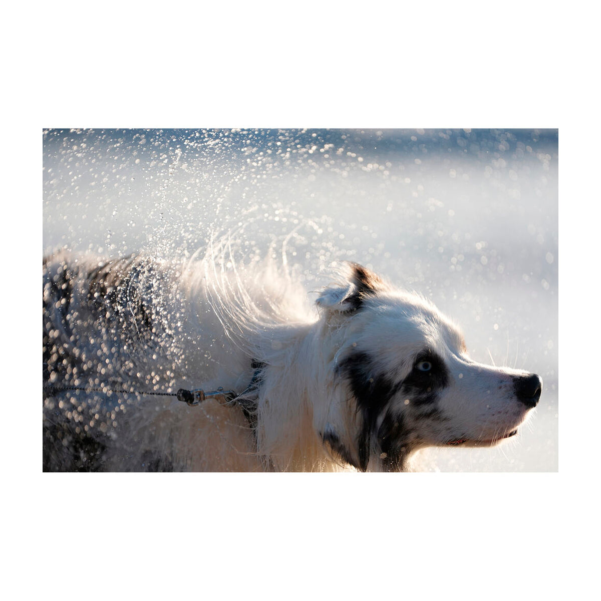 Sony a7 V Alpha Cámara Digital Mirrorless Body | ILCE-7M5 | Full Frame