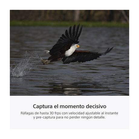 Sony a7R VI Alpha Cámara Digital Mirrorless Body | ILCE-7RM6 | Full Frame