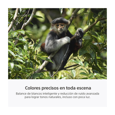 Sony a7R VI Alpha Cámara Digital Mirrorless Body | ILCE-7RM6 | Full Frame