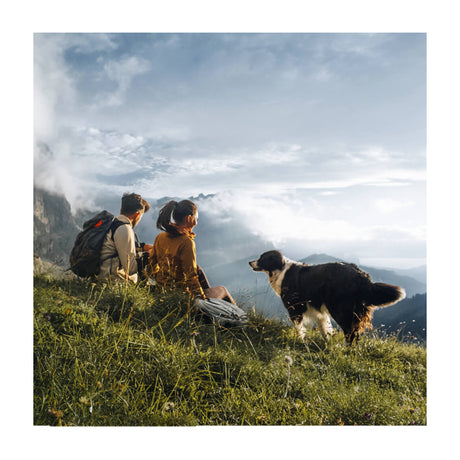 DJI Osmo Pocket 3 Creator Combo Cámara Digital | Video 4K | Estabilizador de 3-Ejes | Pantalla Giratoria | ActiveTrack 6.0 | Fast Focusing | Slow Motion