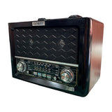 Sankey Radio Portátil | Sintonización FM | Asa Portable | Bluetooth | Negro
