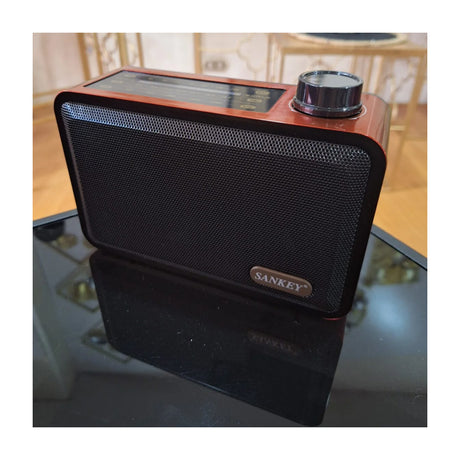 Sankey Radio Portátil | Sintonización FM | Correa Portable | Bluetooth | Chocolate