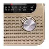 Sankey Radio Portátil | Sintonización FM | Asa Portable | Bluetooth | Dorado