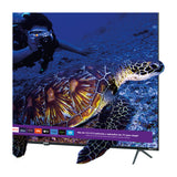 RCA Televisor LED Ultra HD 4K HDR Smart de 70" | Procesador ARM Cortex A53 Quad Core | Frameless Design | Dolby Audio | Roku TV