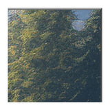 RCA Televisor QLED Ultra HD 4K HDR Smart de 86" | Procesador ARM Cortex A53 Quad Core | Frameless Design | Dolby Audio | Roku TV