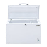 Sankey Congelador Comercial Horizontal Inverter de 10.35p3