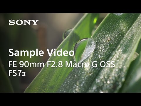 Sony Lente FE 90mm f/2.8 Macro G OSS