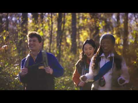 JBL Clip 5 Bocina Portátil Bluetooth Waterproof | Mosquetón | 12H | IP67 | Rojo