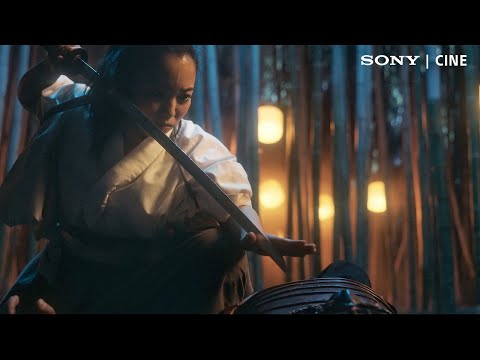 Sony FX30 Alpha Cinema Line Cámara Digital Mirrorless Body | ILME-FX30B