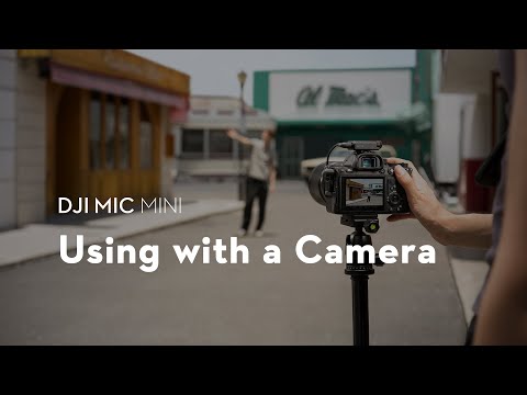 DJI Mic Mini Micrófono Inalámbrico | 1 Transmisor | 1 Receptor | Para Cámaras Profesionales, Smartphones, Tablets y Computadoras | Negro