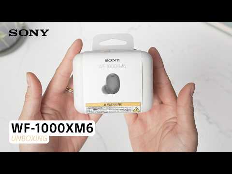 Sony WF-1000XM6 Audífonos Inalámbricos Bluetooth | Negro - Photura
