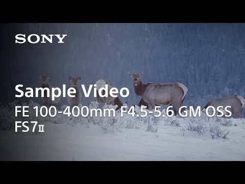 Sony Lente FE 100-400mm f/4.5-5.6 GM OSS