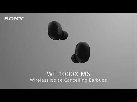 Sony WF-1000XM6 Audífonos Inalámbricos Bluetooth | Negro - Photura