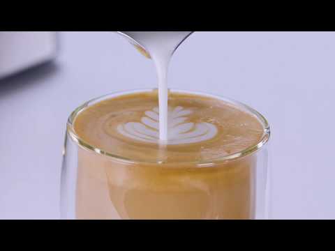 Oster BVSTEM7300 Cafetera de 12 Tazas | Espresso y Capuccino |  Perfect Brew 15 Bares | Molino Integrado | Acero Inoxidable