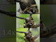 Sony Lente FE 100mm f/2.8 Macro GM OSS