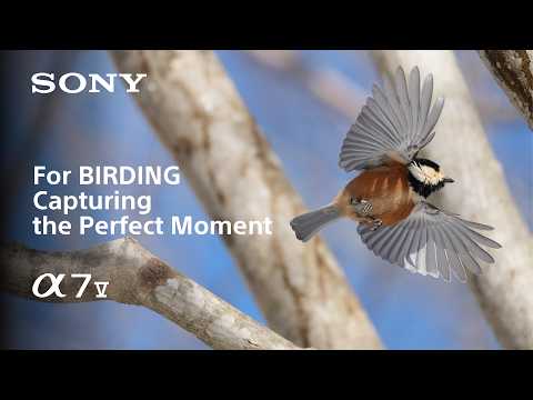 Sony a7 V Alpha Cámara Digital Mirrorless Body | ILCE-7M5 | Full Frame