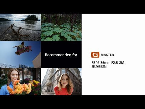 Sony Lente FE 16-35mm f/2.8 GM