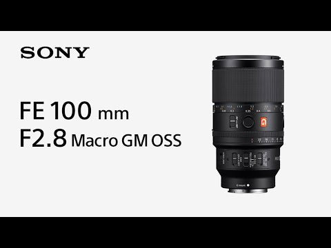 Sony Lente FE 100mm f/2.8 Macro GM OSS