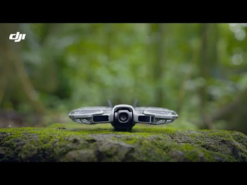 DJI Neo 2 Drone Fly More Combo (Drone Only) | Quadcopter | 12MP | Video 4K | Palm Take Off | Voice Control | 3 Baterías | Cargador Triple | 19 Min