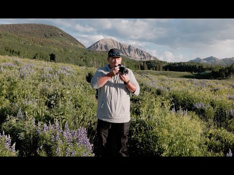 Canon Lente RF 15-30mm f/4.5-6.3 IS STM