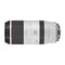 Canon Lente RF 100-500mm f/4.5-7.1 L IS USM