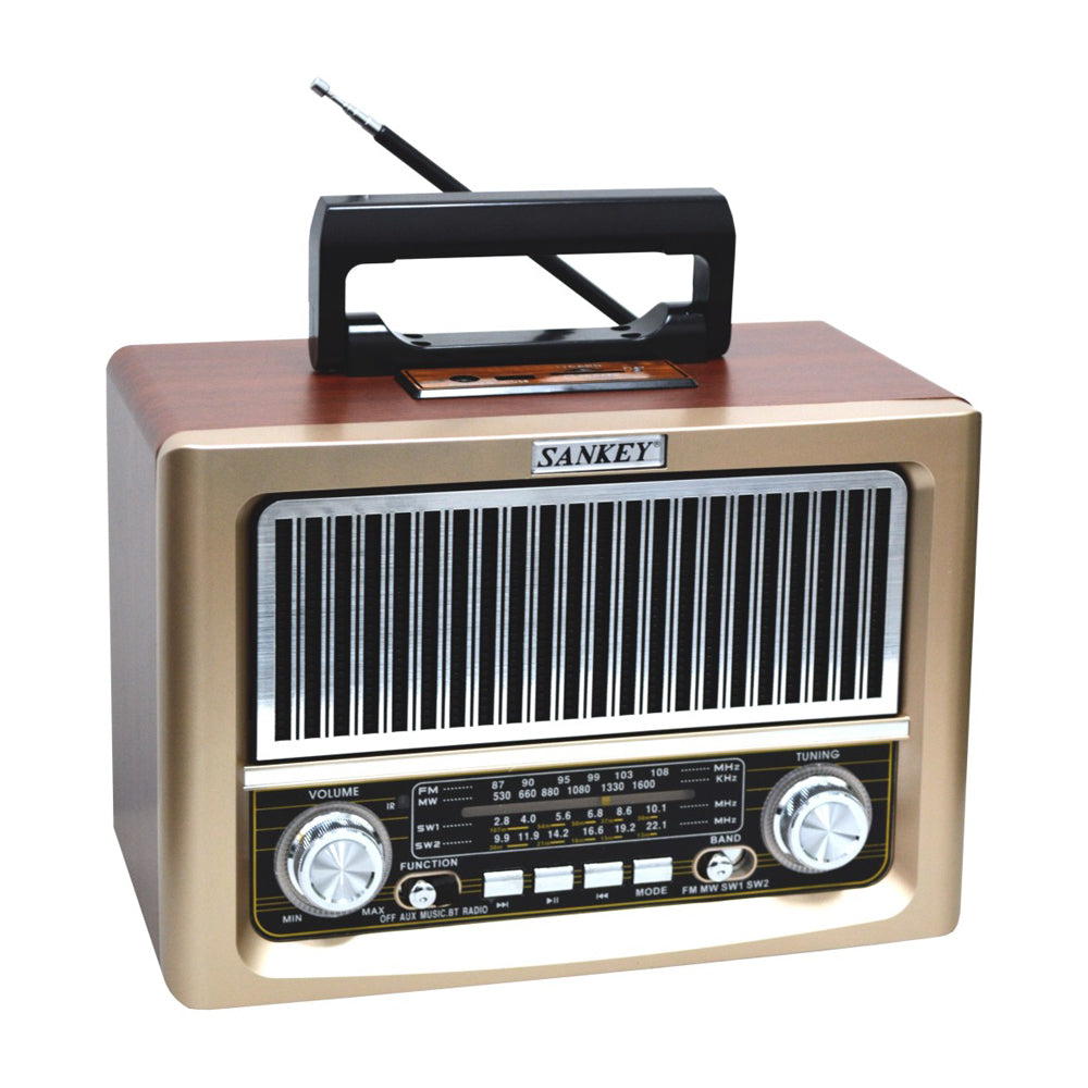 Sankey Radio Digital Portátil | Sintonización FM | Asa Portable | Bluetooth | Dorado