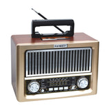 Sankey Radio Digital Portátil | Sintonización FM | Asa Portable | Bluetooth | Dorado