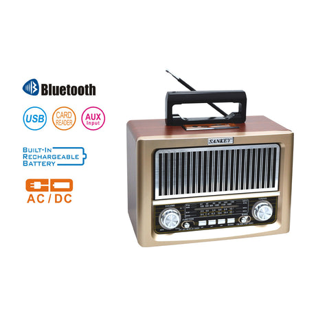 Sankey Radio Digital Portátil | Sintonización FM | Asa Portable | Bluetooth | Dorado