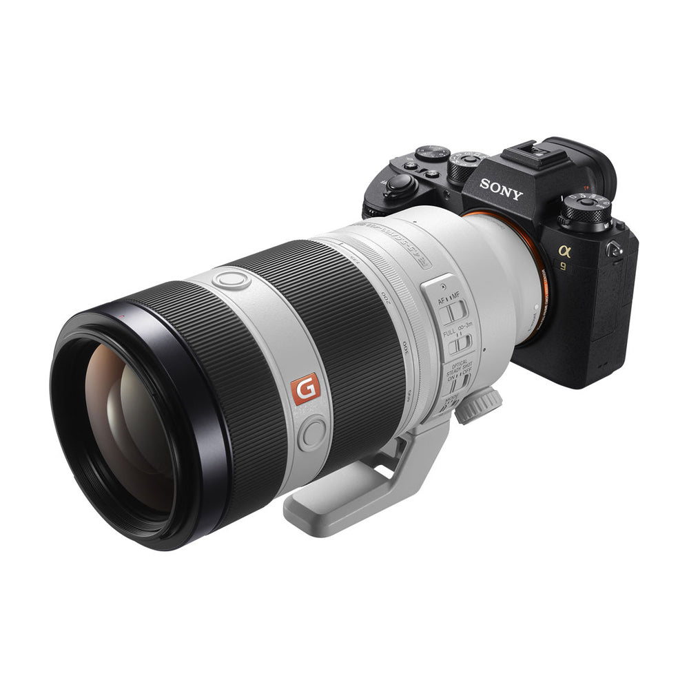 SONY FE 100-400mm Gマスターズームレンズ ソニーαE用 美品 SEL100400GM GM 100-400mm レンズ(ズーム)