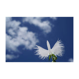 Sony Lente FE 50mm f/2.8 Macro