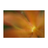 Sony Lente FE 50mm f/2.8 Macro