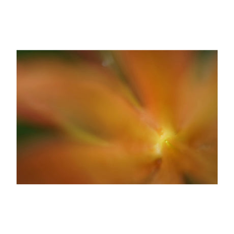 Sony Lente FE 50mm f/2.8 Macro
