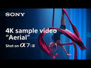 Sony a7S III Alpha Cámara Digital Mirrorless Body | ILCE7SM3 | Full Frame