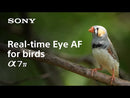 Sony a7 IV Alpha Cámara Digital Mirrorless Body | ILCE-7M4 | Full Frame